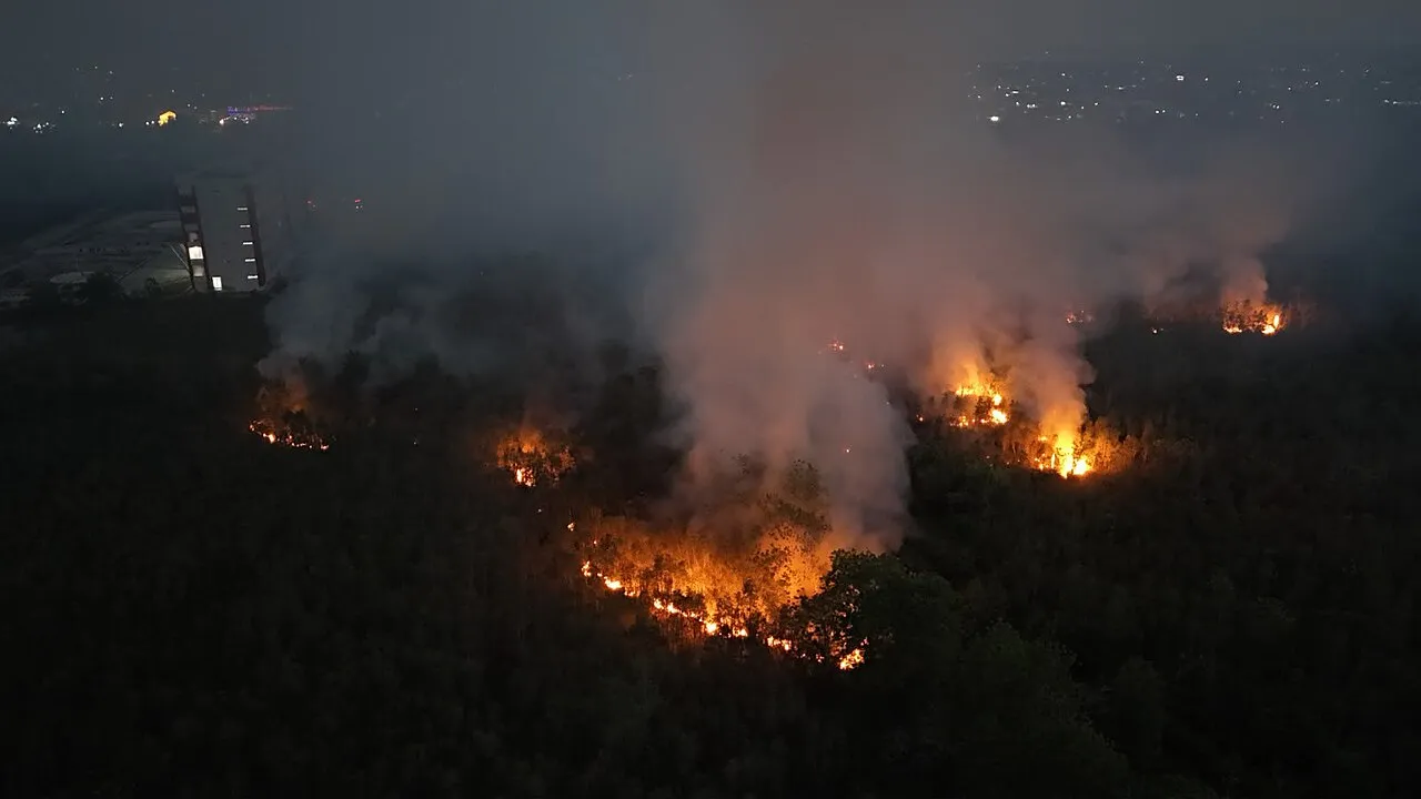 kalimantan-forest-fire.webp